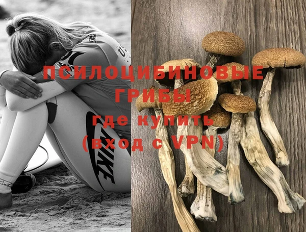 СК Балахна