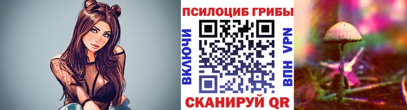 Псилоцибиновые грибы мицелий  Новый Уренгой 